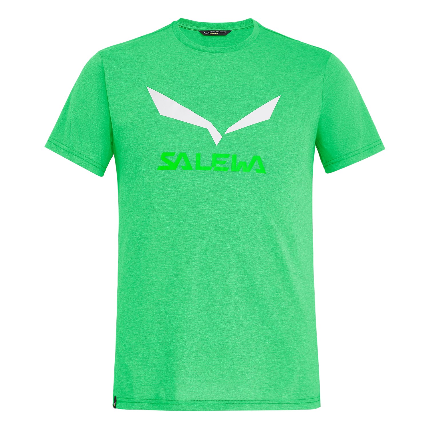 Salewa Men's Solidlogo Drirelease® T-Shirts Green ONE-450379